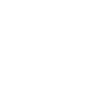 icon healthcare